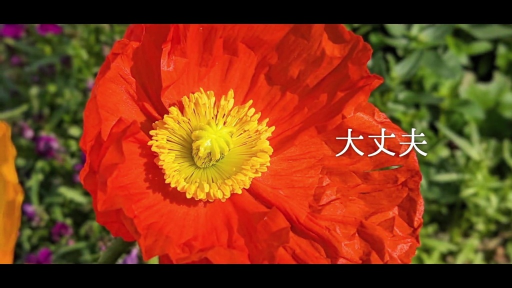 音楽素材『大丈夫』歌もの曲