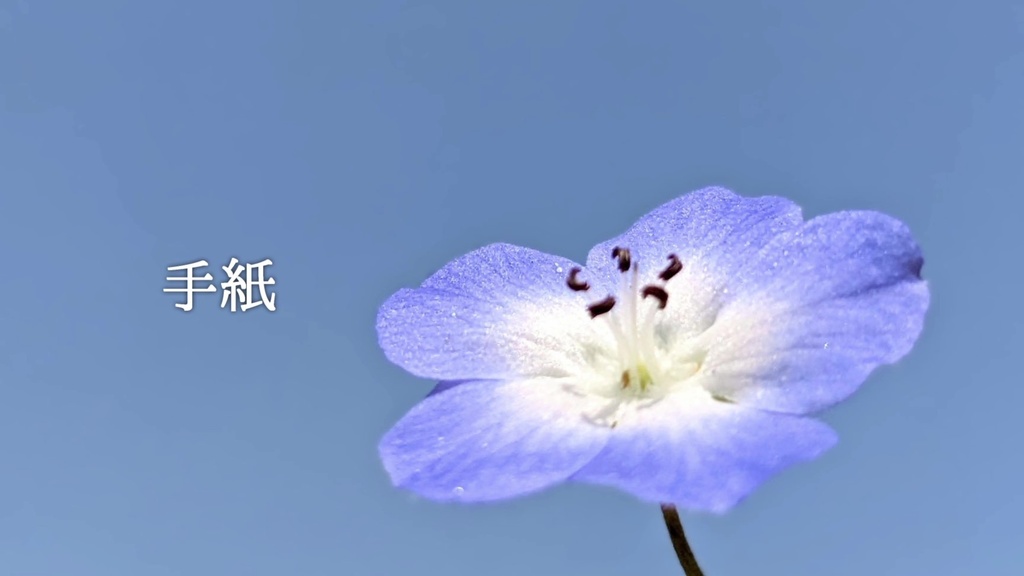 音楽素材『手紙』歌もの曲