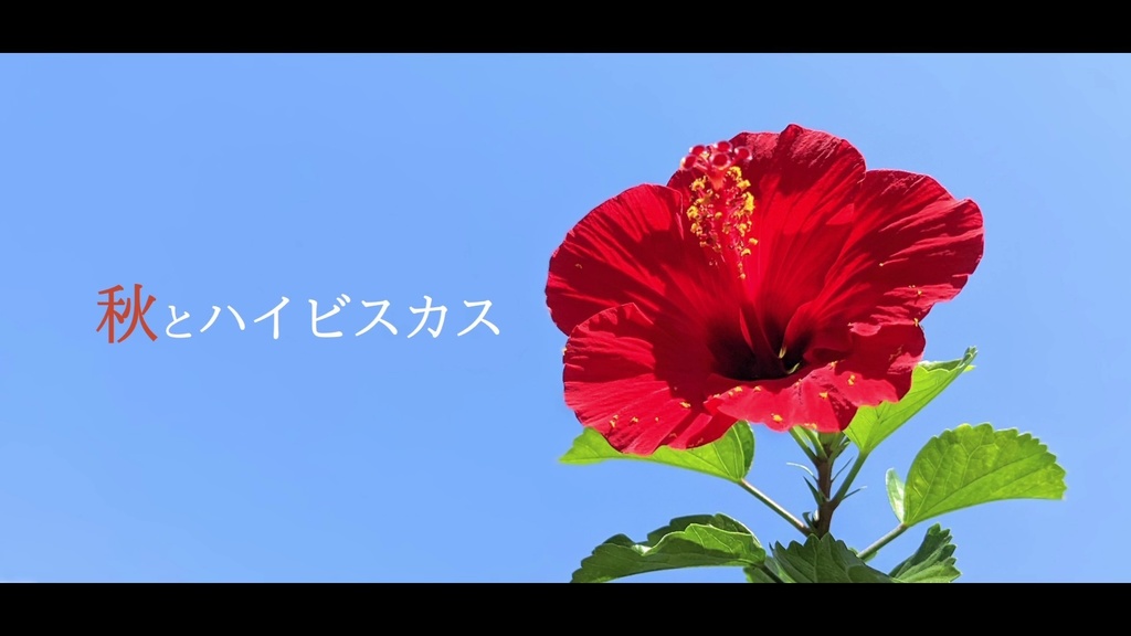 音楽素材『秋とハイビスカス』歌もの曲