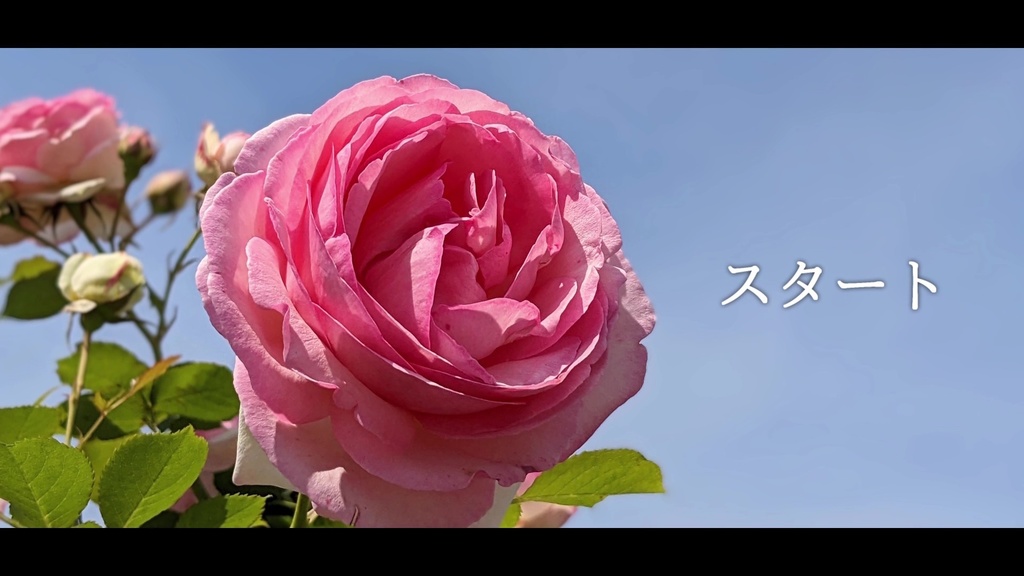 音楽素材『スタート』歌もの曲