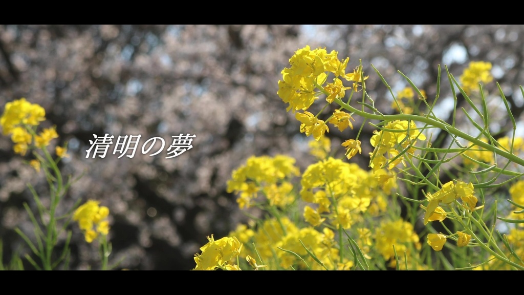 音楽素材『清明の夢』歌もの曲
