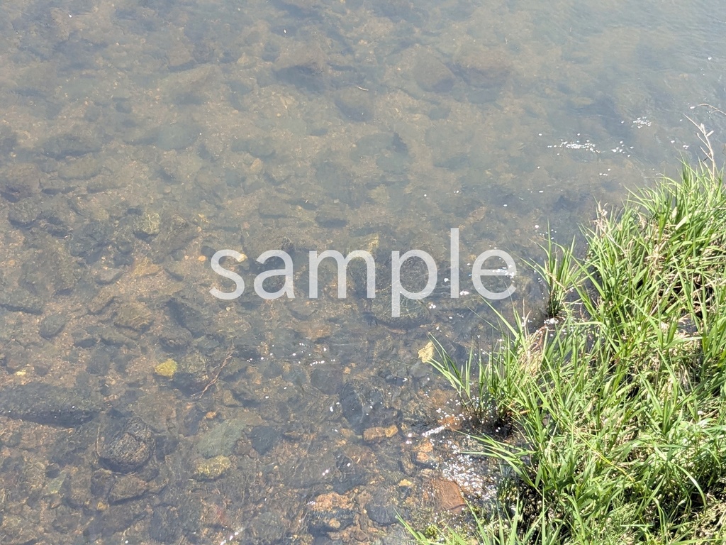 写真素材『川の水面3』
