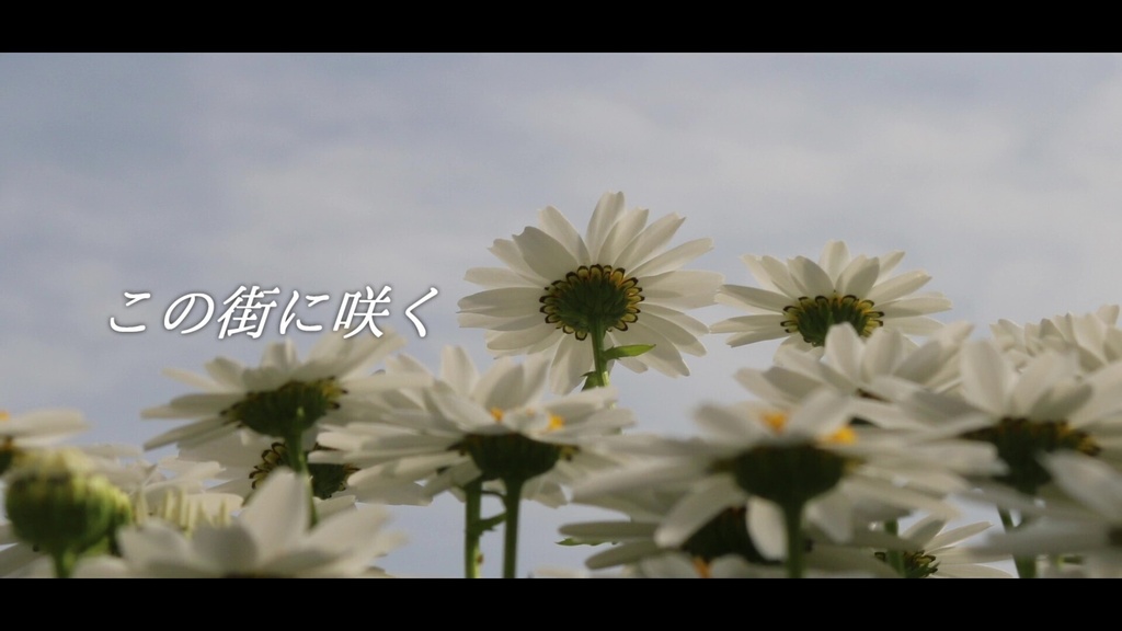 音楽素材『この街に咲く』歌もの曲