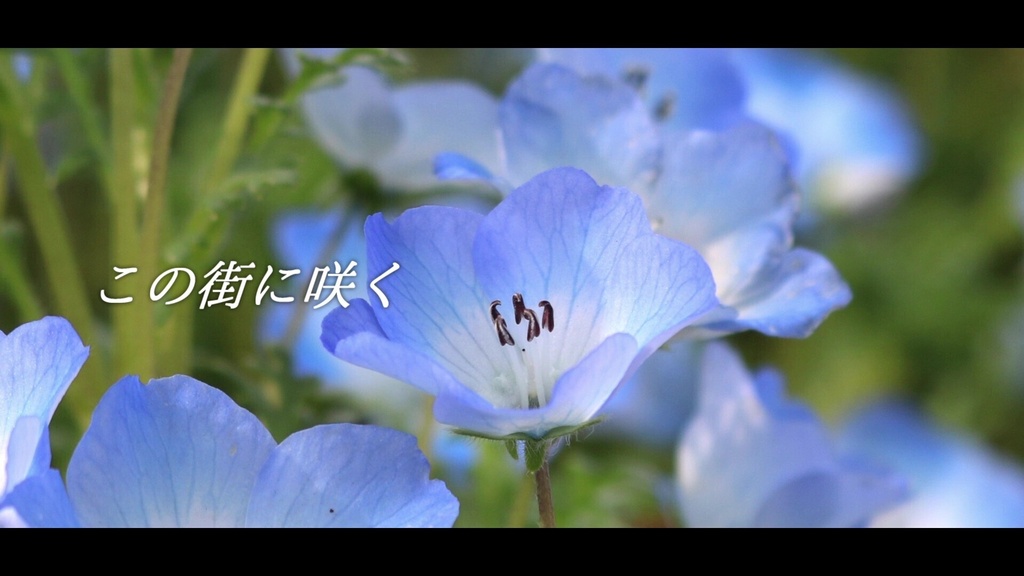 音楽素材『この街に咲く-Guitar Version-』歌もの曲