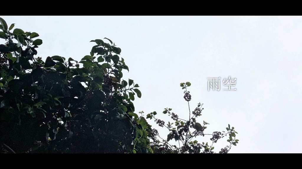 音楽素材『雨空-Guitar Version-』歌もの曲