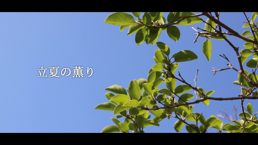 音楽素材『立夏の薫り』歌もの曲