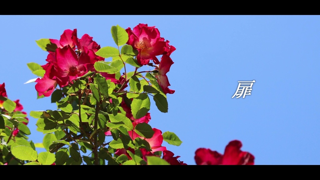 音楽素材『扉』歌もの曲