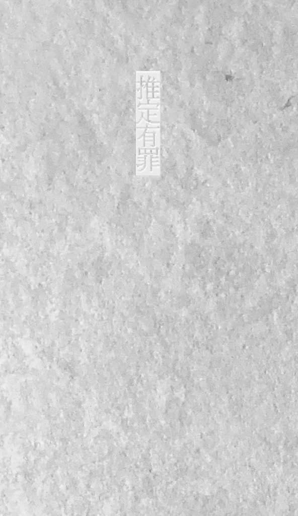 歌集「推定有罪」