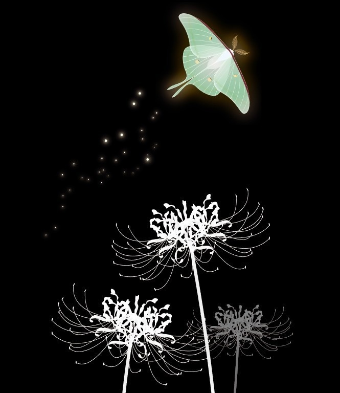 猫又 手帳型Andoroidスマホカバー