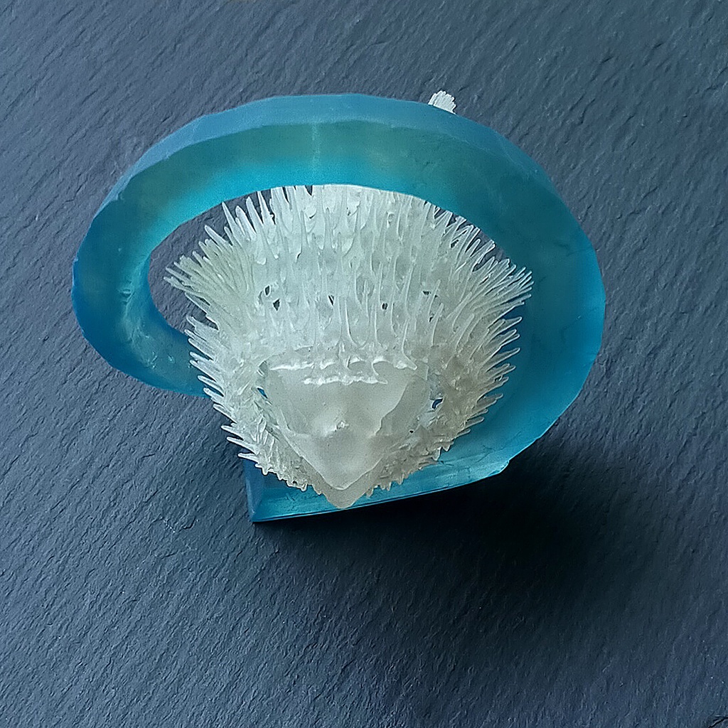 「ハリセンボンの創作骨格・プリント済」版