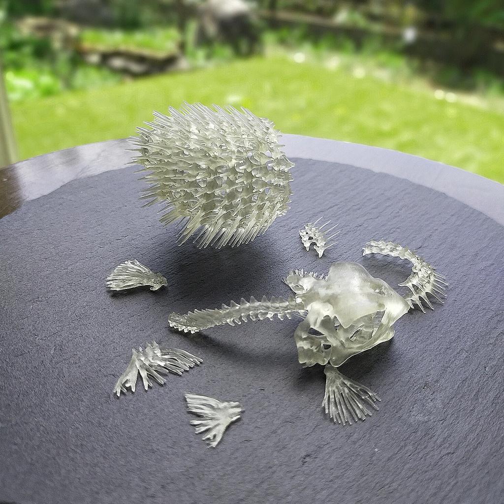 「ハリセンボンの創作骨格・プリント済」版