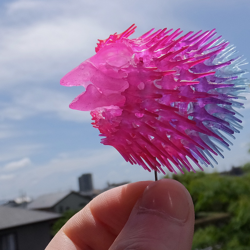 「ハリセンボンの創作骨格・プリント済」版