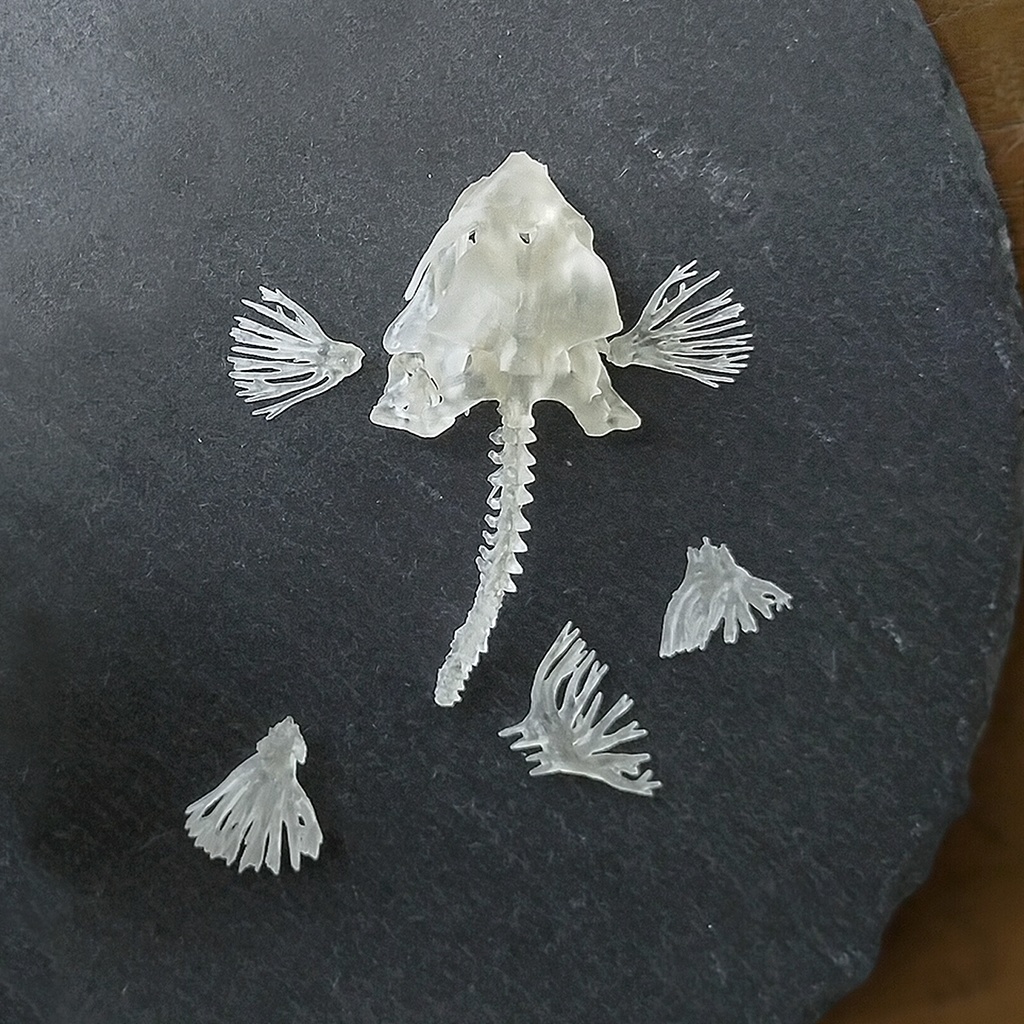 「PufferFishの創作骨格」STLデータ