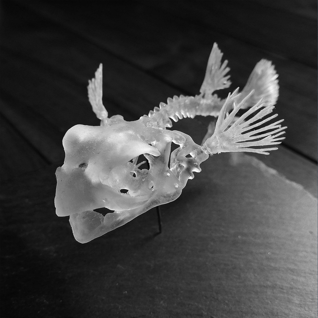 「PufferFishの創作骨格」STLデータ