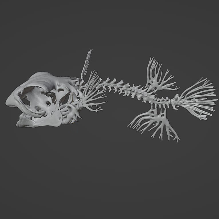 「PufferFishの創作骨格」STLデータ
