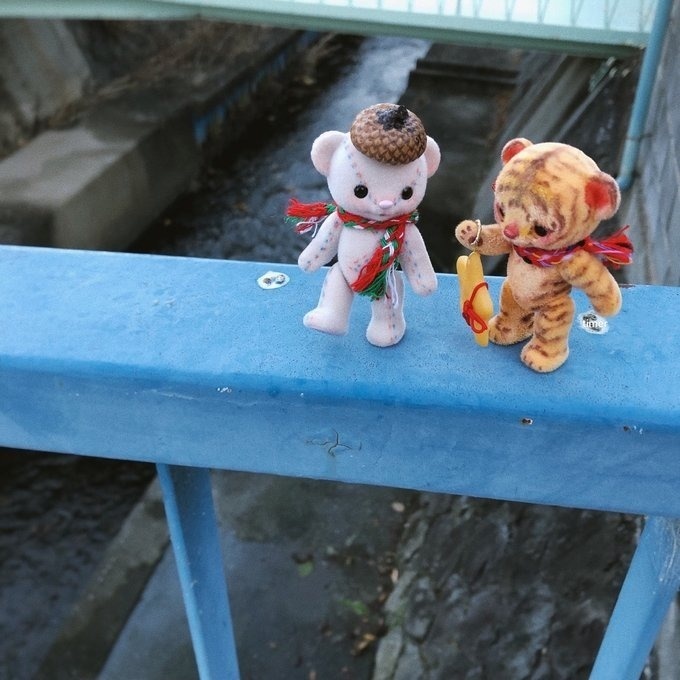 ハニーベア カスタム ミモザ ホワイトグレー 秋 栗 雪ちゃん 23