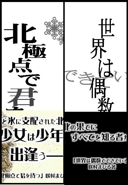 北を目指す２冊セット