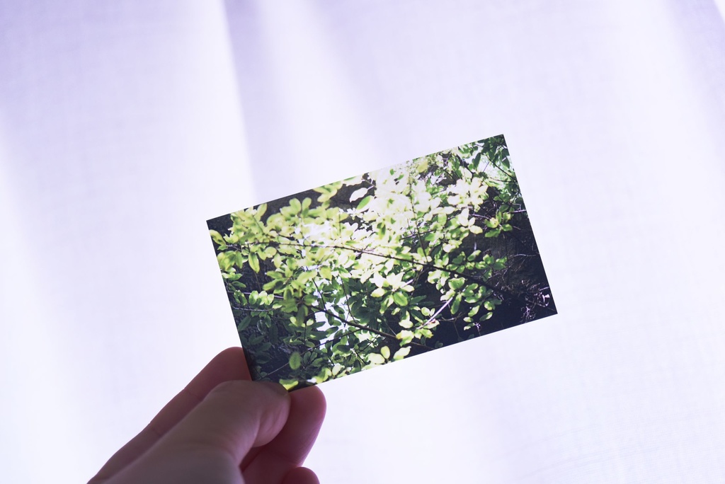 クリアカード3種