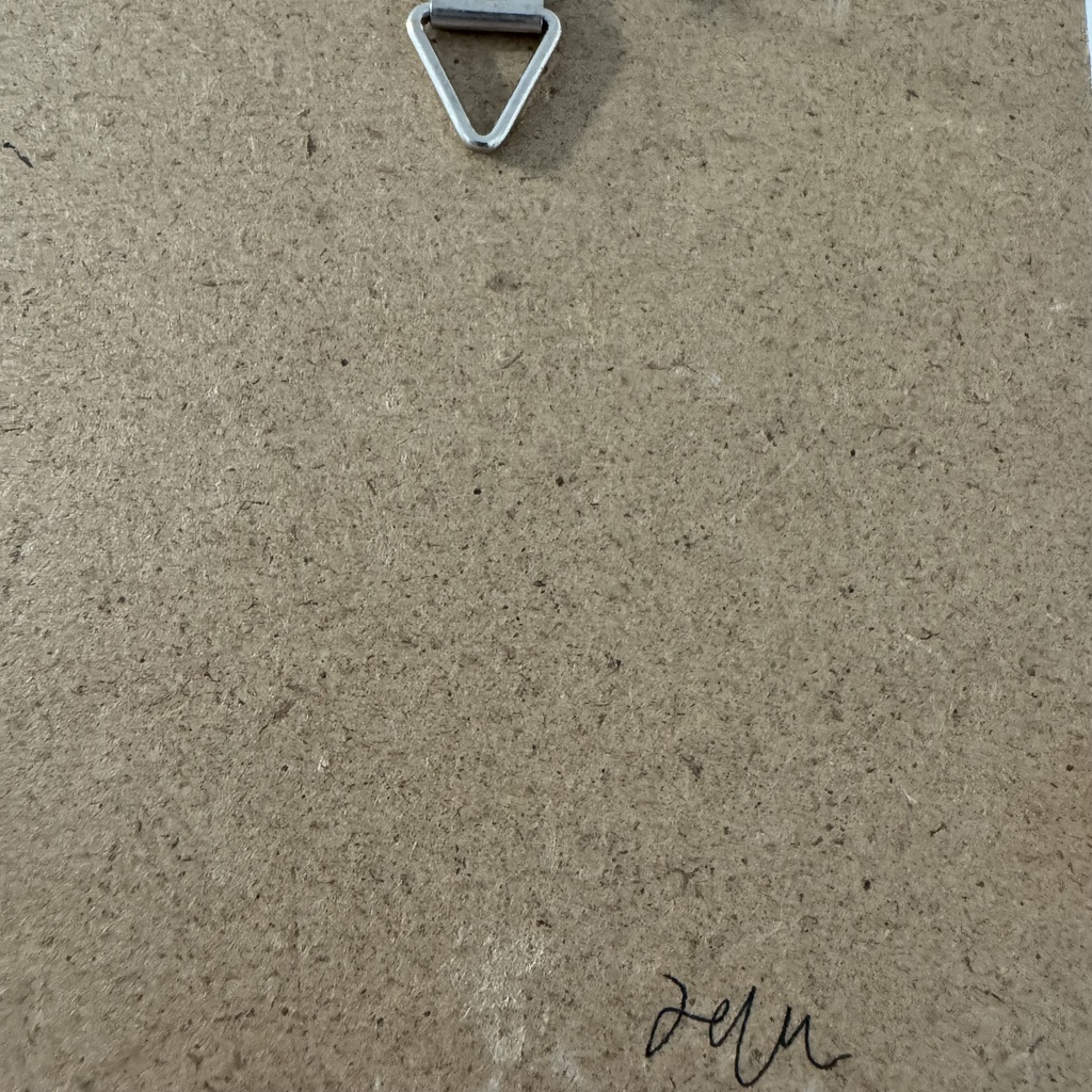 ミニ原画【鳥瞰】