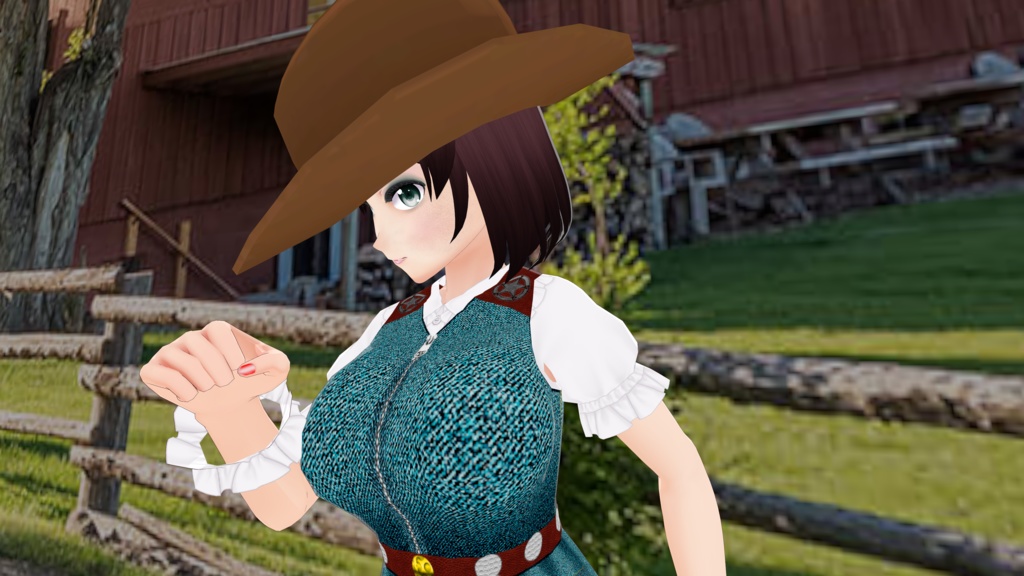 Western Denim Dress & Boots - FREE!!!