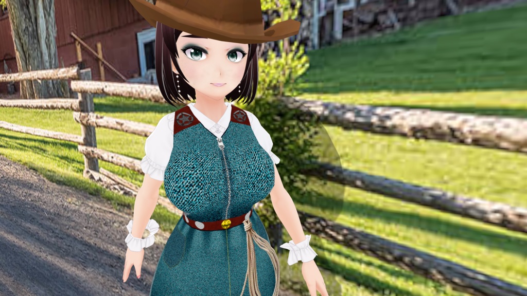 Western Denim Dress & Boots - FREE!!!