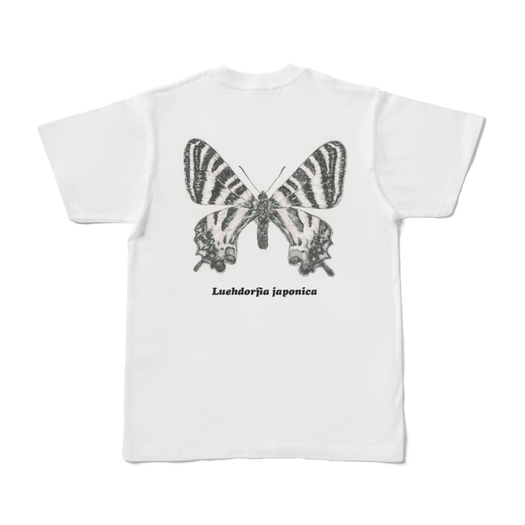 ギフチョウ 標本 針