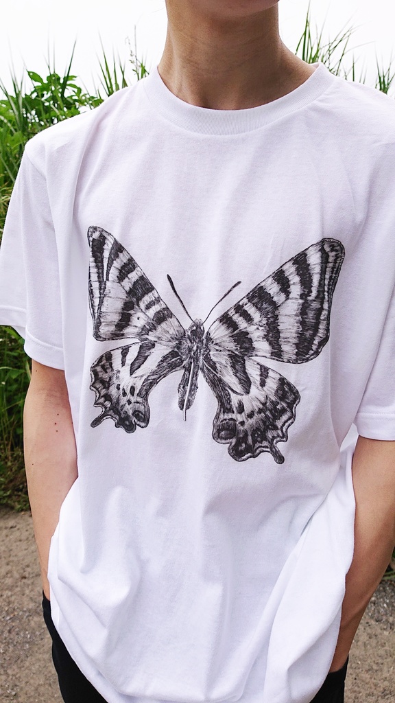 ギフチョウ 標本 針