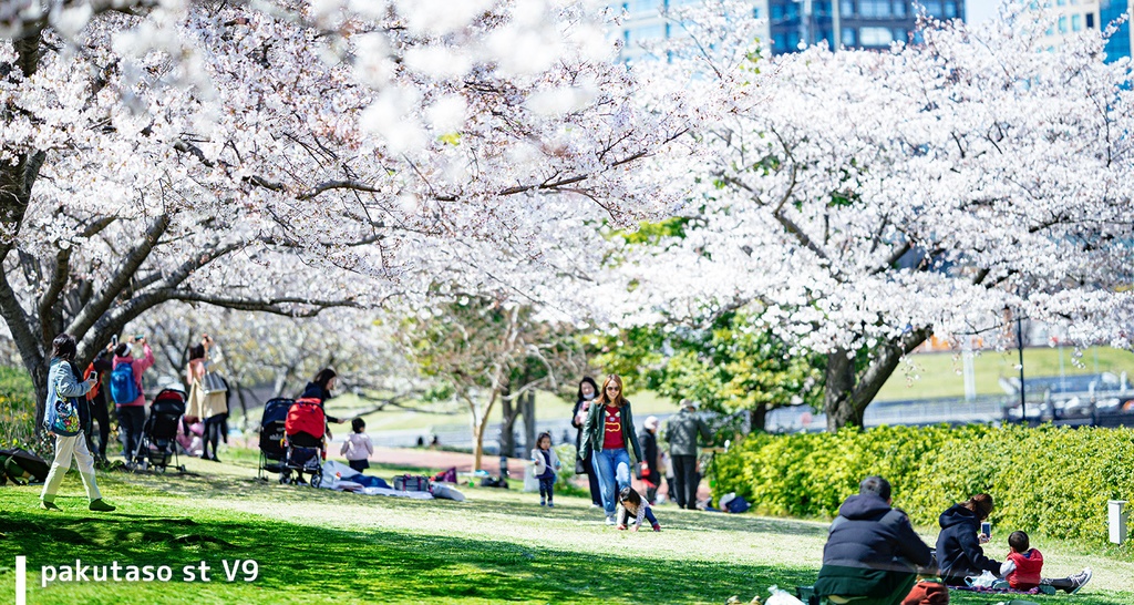 一番人気のぱくたそスタンダードプリセット PRO(Photoshop & Lightroom用)