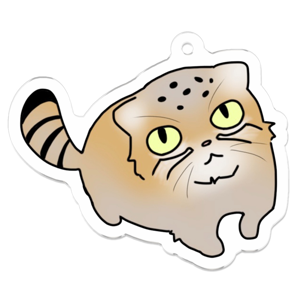 マヌルネコ 聡明 アクキー