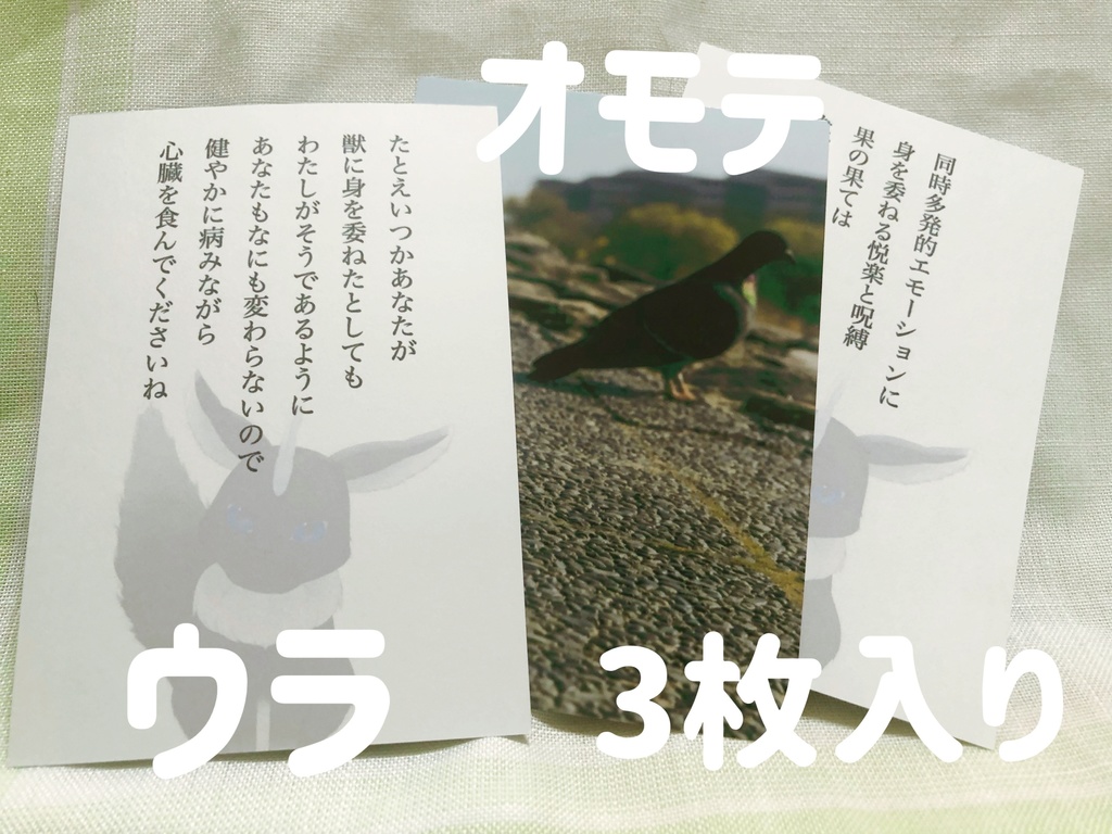 タムラの撮り下ろし写真と詩_L版3枚入り