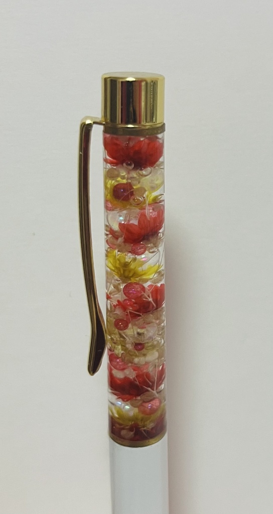 【RKRN】ねずみ六年生 色紙+ボールペンセット