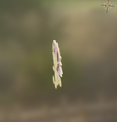 ぺらぺらいおん