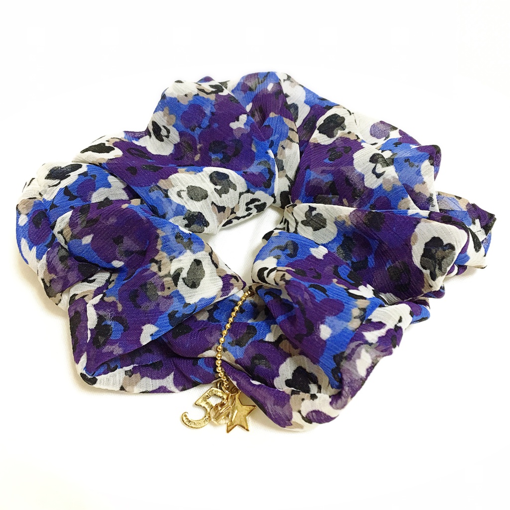 ５年生イメージ シュシュ