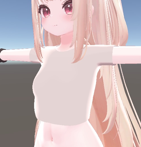 Tシャツ【りりか対応/無料】