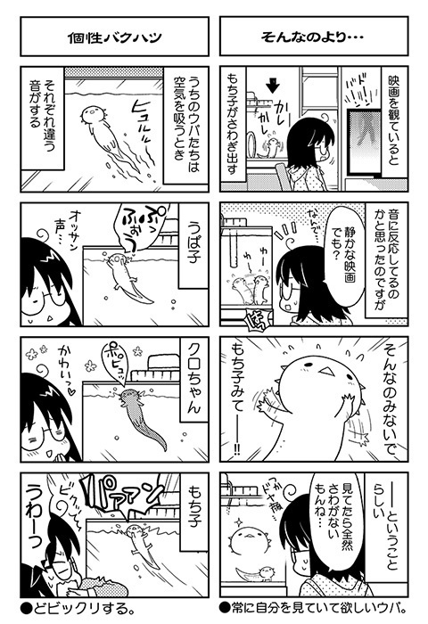 ウパだより 05