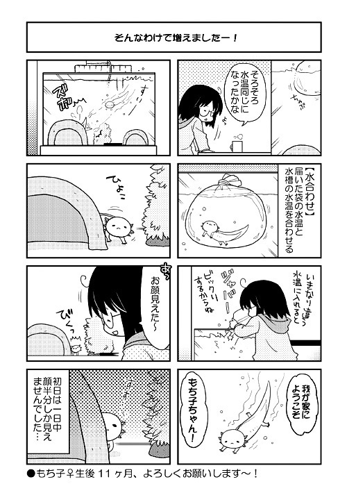 ウパだより 03+04 総集編