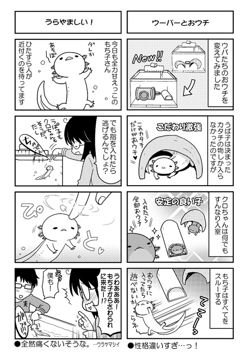 ウパだより 03+04 総集編