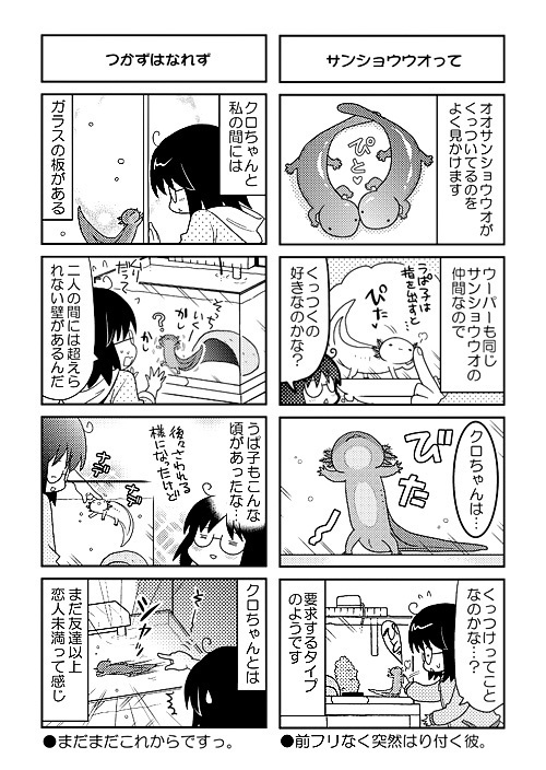 ウパだより 03+04 総集編