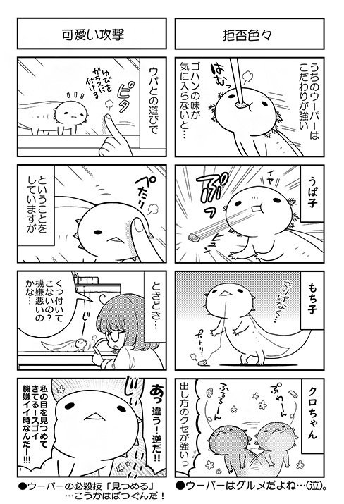 ウパだより 06