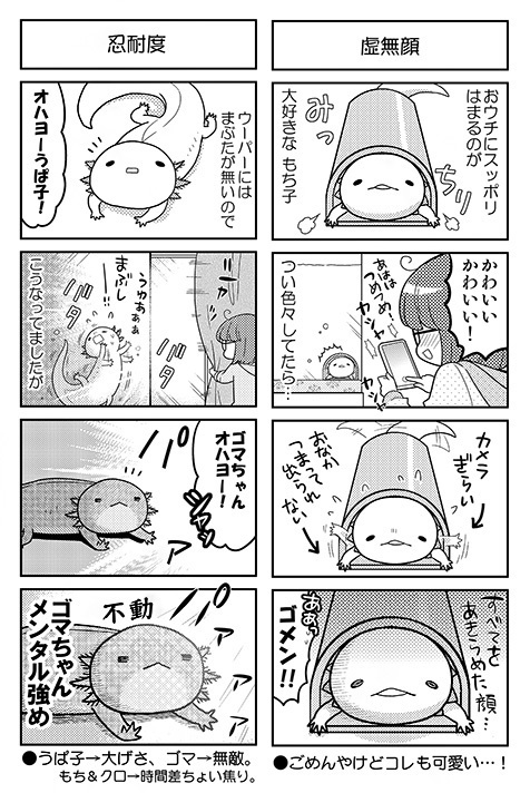 ウパだより 06