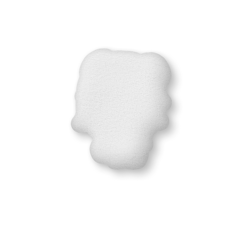 きゅるるるん♡ぽんたクッション