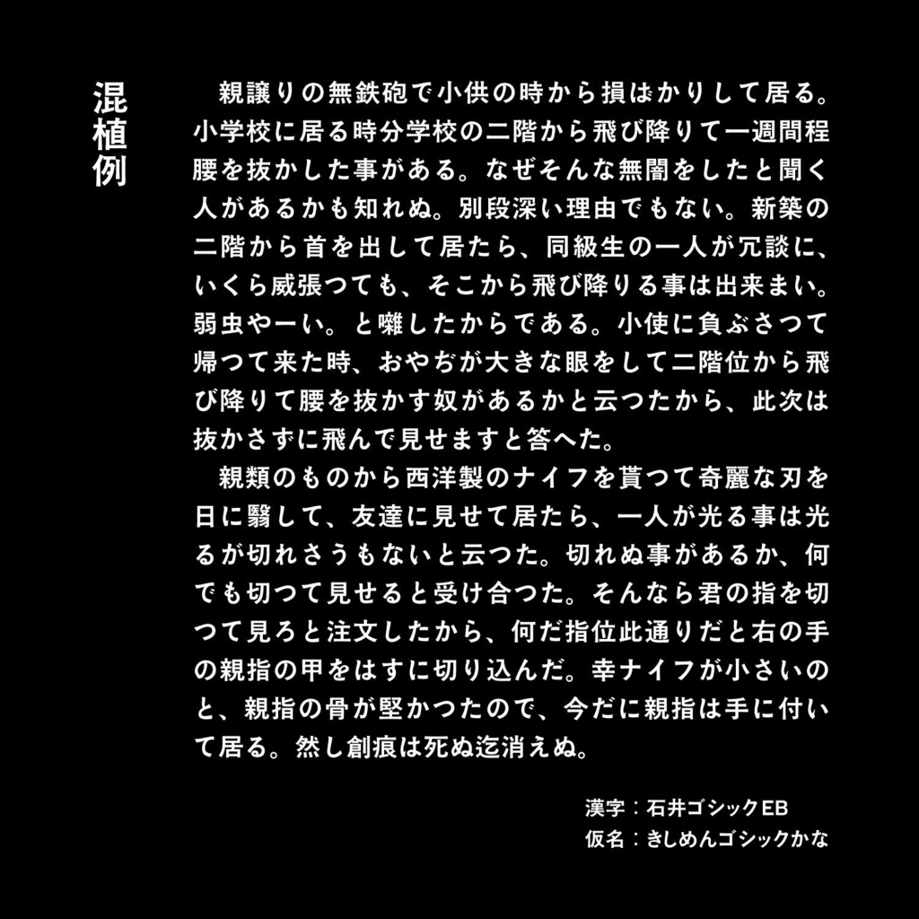 きしめんゴシック