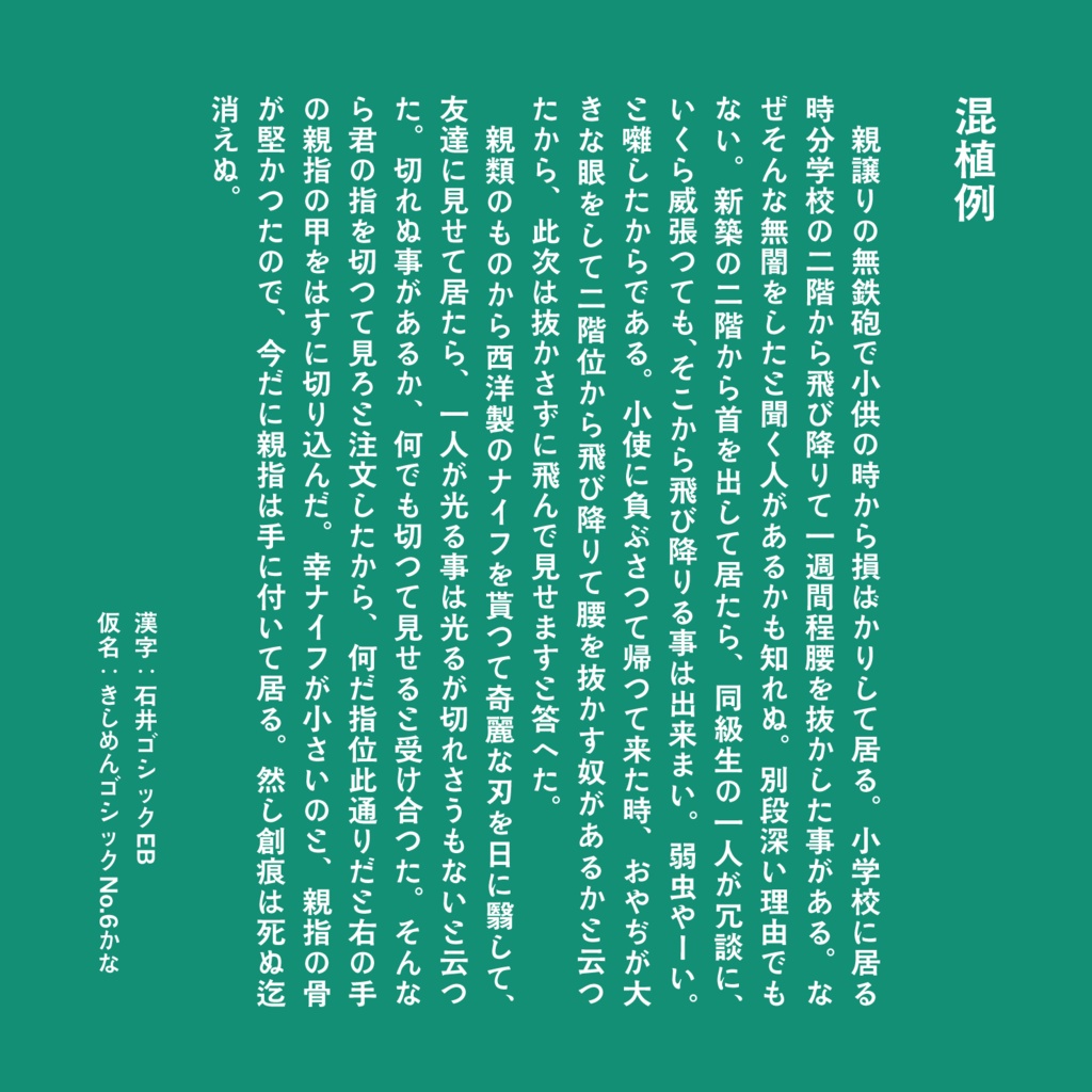 きしめんゴシックNo.6かな