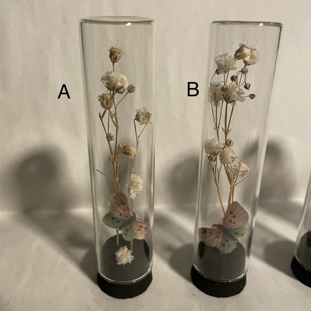 ガラスドーム ドライフラワーと蝶