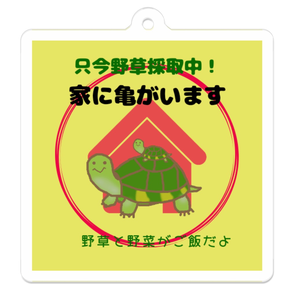 家に亀がいますキーホルダー 野草ver.