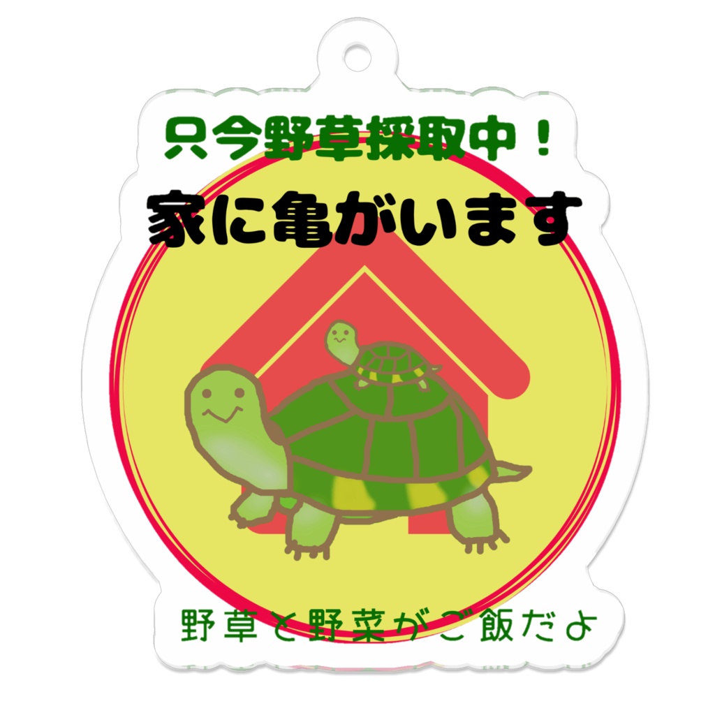 家に亀がいます 野草ver.2