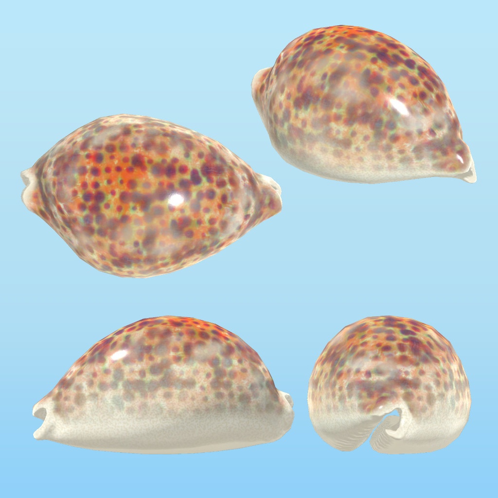 潮際小物セット