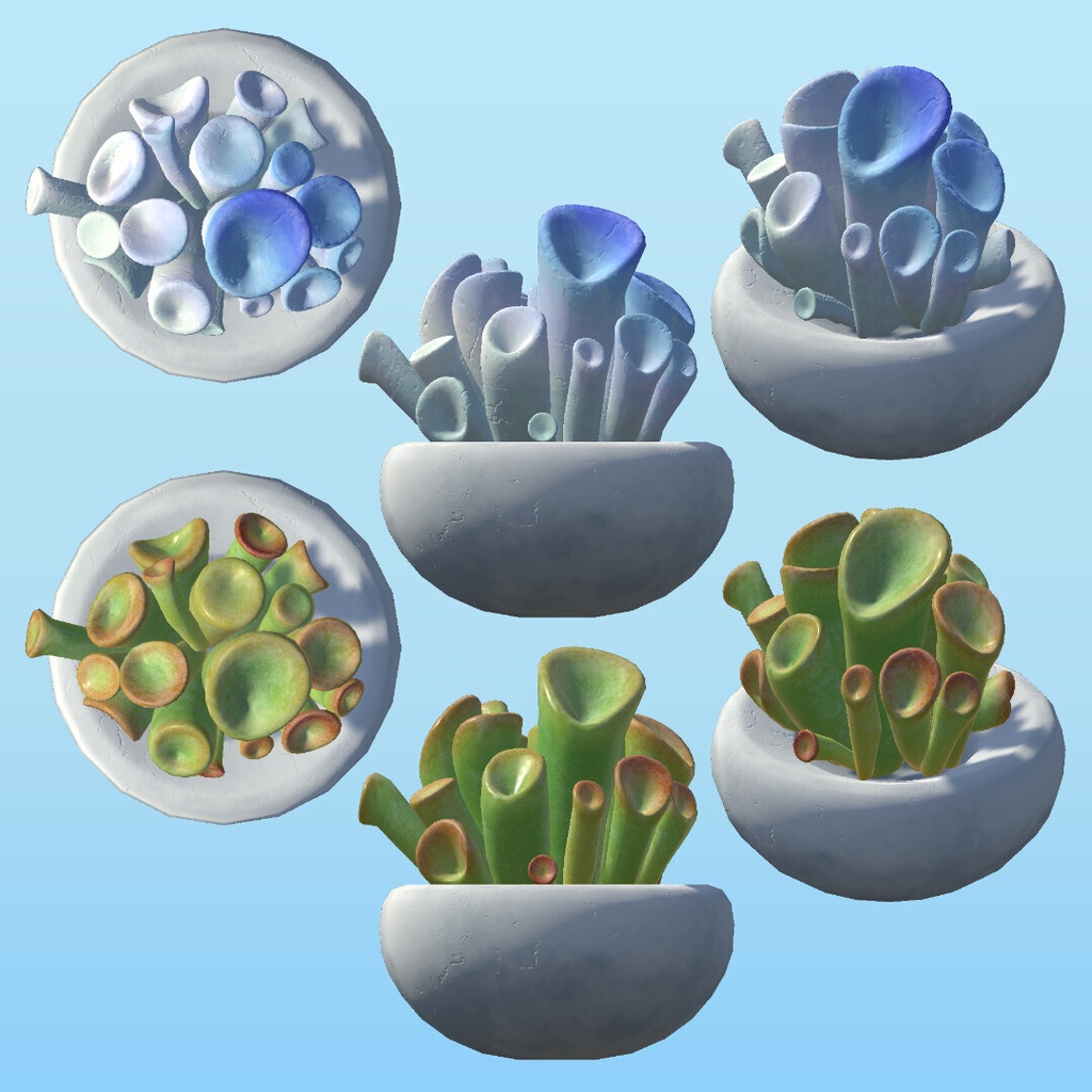 PPSucculents 多肉植物