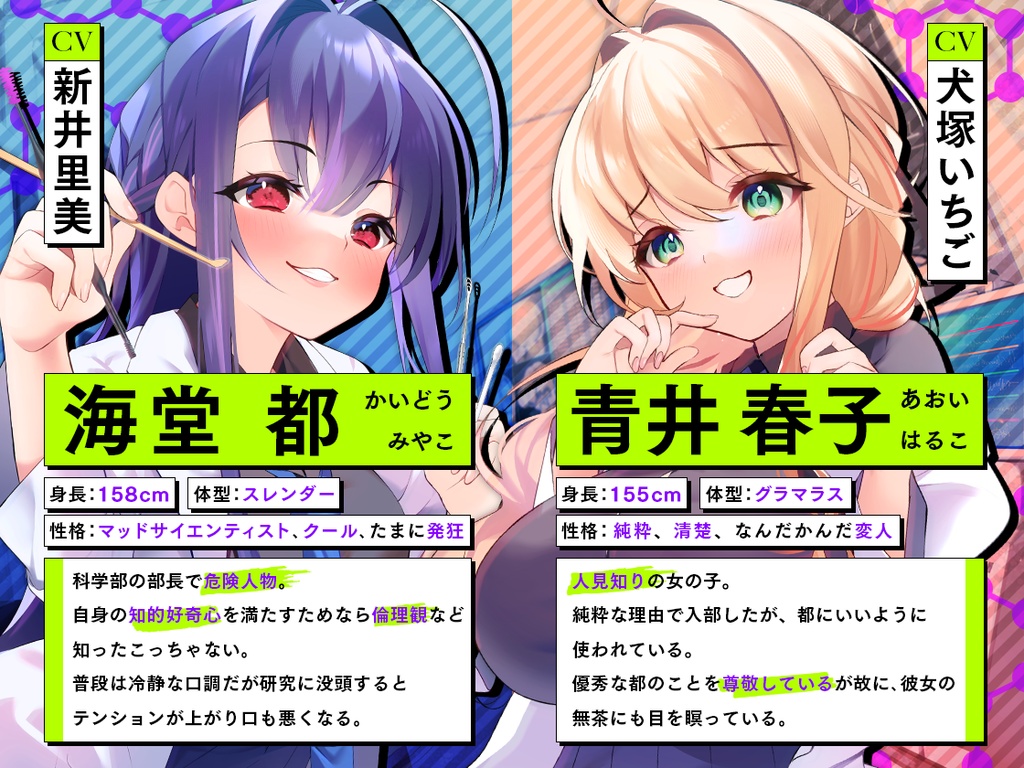 ASMR研究記録〜極秘の耳かき〜(DLカード版)