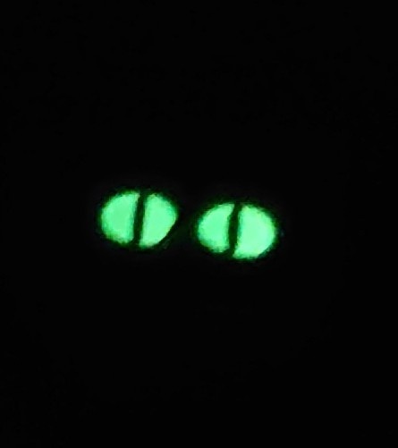 目が光る櫂にゃんラバーキーホルダー